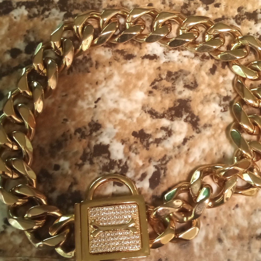 PRAD Dog Collar